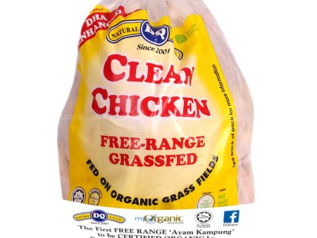 DQ Organic Clean Chicken Online Hot Sale