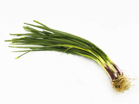 Spring Onion (Daun Bawang) (Malaysia) 80g Online Hot Sale