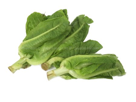 Summer Harvest Bambi Lettuce (Malaysia) 200g Hot on Sale