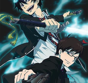 Blue Exorcist: Rin & Yukio Fabric Poster Online Sale