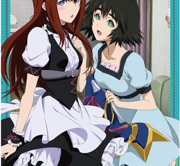 Steins;Gate: Maid Makise & Shina Wall Scroll Online Sale