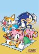 Sonic the Hedgehog: Beach Time Wall Scroll Cheap