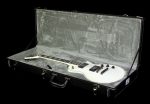 Used 2010 ESP Standard Series Eclipse II Electric Guitar White Online now